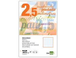 Recambio Liderpapel Folio Pautaguia 100 Hojas 80 G Cuadriculado Pautado 2,5 mm con Margen 4 Taladros