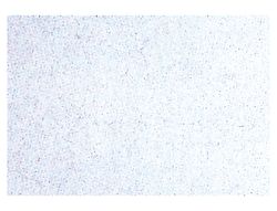 Rollo Adhesivo Aironfix Especial Ante Blanco 68175 -Rollo de 10 Mt