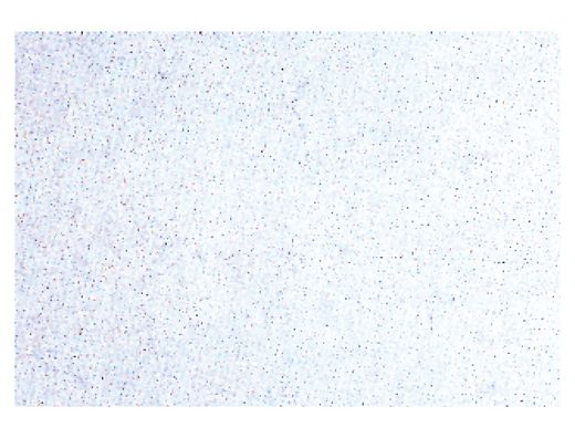 Rollo Adhesivo Aironfix Especial Ante Blanco 68175 -Rollo de 10 Mt