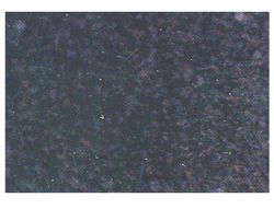 Rollo aironfix ante 10mx45 cm negro Aironfix