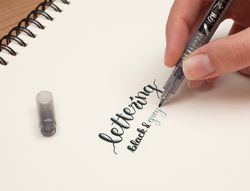 Rotulador tombow fudenosuke tinta base de agua doble punta blanda color gris/negro