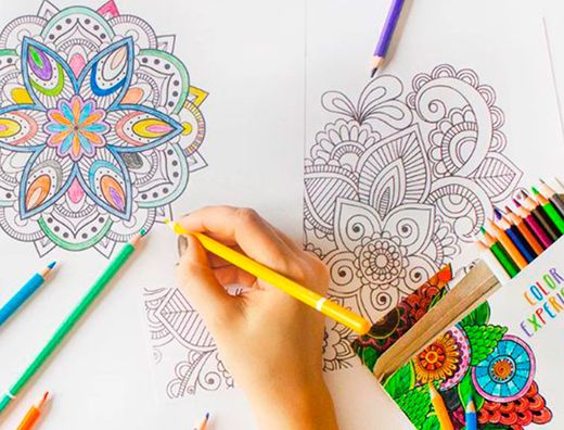Set de dibujo alpino color experience 24 lapices de colores y libro de 120 mandalas