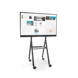 Soporte móvil para monitores interactivos VESA40X60