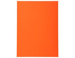 Subcarpeta Cartulina Reciclada Exacompta Din A4 Naranja 170 Gr