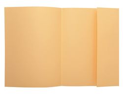 Subcarpeta Exacompta Din A4 Crema 160G/M2 Con Solapa Interior