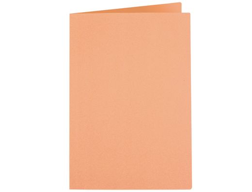 Subcarpeta Liderpapel Folio Naranja Intenso 185G/M2