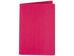 Subcarpeta Liderpapel Folio Rojo Intenso 185G/M2