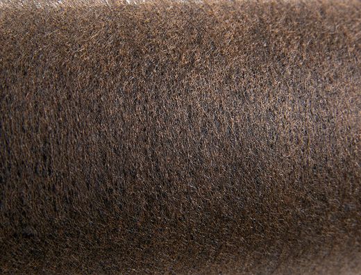 Tejido sin tejer liderpapel terileno 25 g/m2 rollo de 5 mt marron