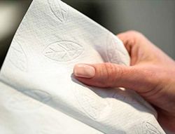 Toalla de Papel Engarzada 2 Capas 21X33 cm Paquete de 136 Unidades para Dispensador H2