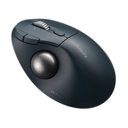 Trackball inalámbrico TB550 ProFit® Ergo Kensington, batería recargable, negro y plata
